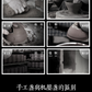 孙福昆 — 鹧鸪斑