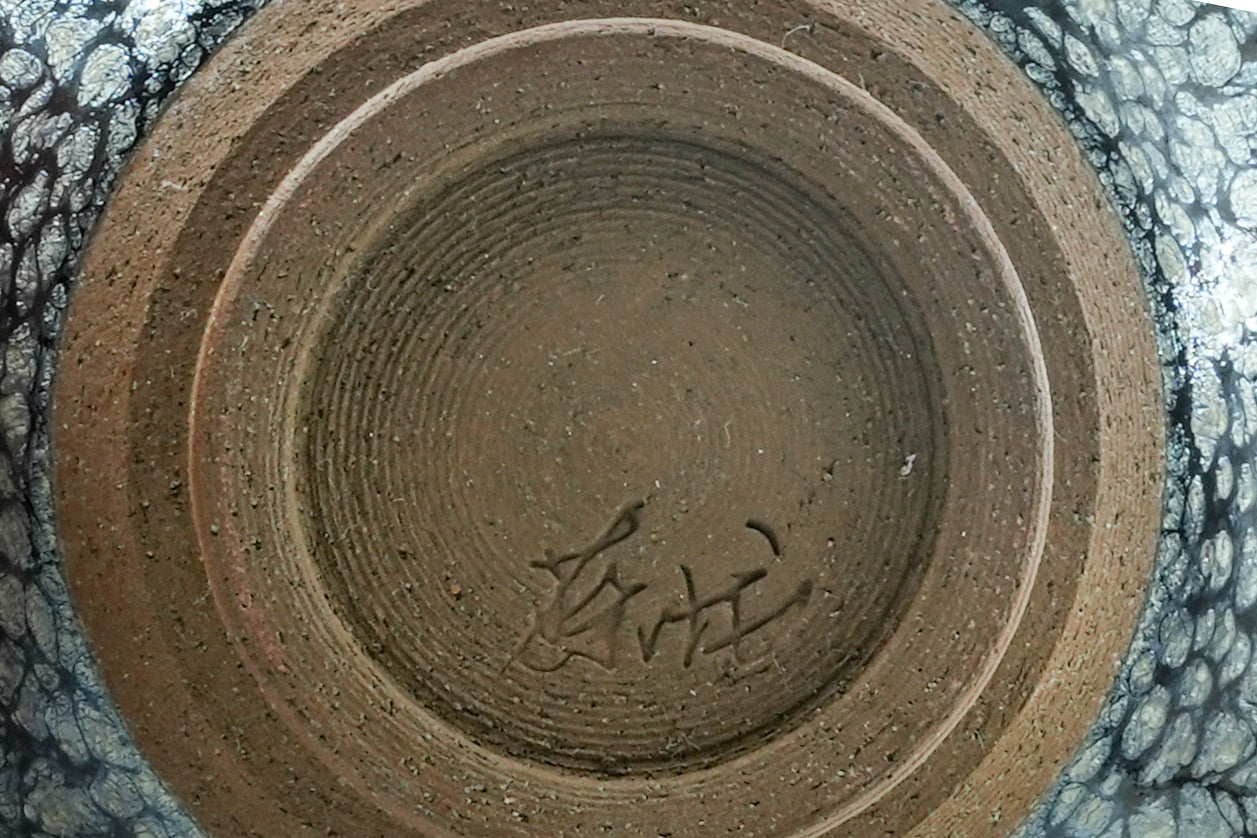 蔡龙 — 百花